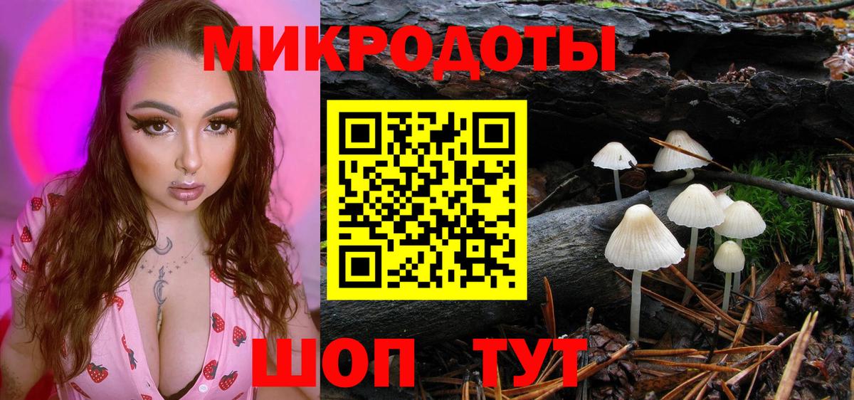Псилоцибиновые грибы Psilocybe  Псилоцибиновые грибы Psilocybe  Пятигорск  Вход с VPN 