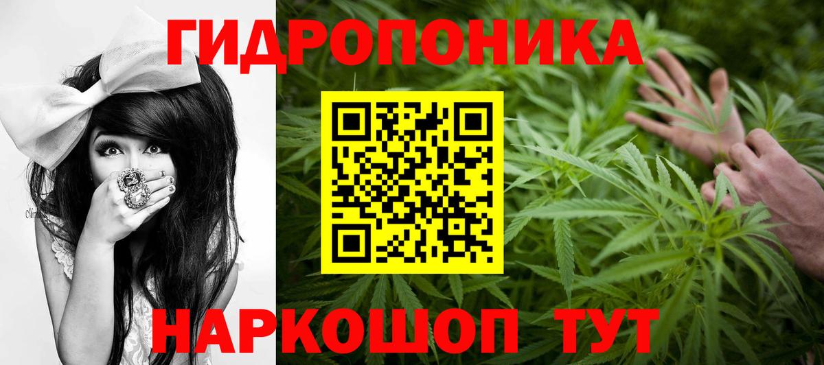 Бошки марихуана VHQ  Вход с VPN  Конопля VHQ  Пятигорск 